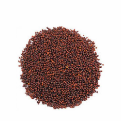 1639810899-h-250-Mustard Seed (Red).png
